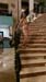 IMG-20170830-WA0229