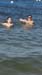 IMG-20170830-WA0304