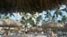 IMG-20170830-WA0434