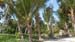 IMG-20170830-WA0466